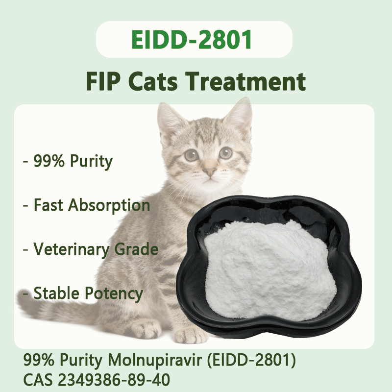 40mg Molnupiravir Tablets (EIDD-2801) for 3KG cats with FIP