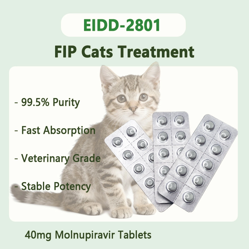 99.5% Purity Molnupiravir Powder (EIDD-2801)