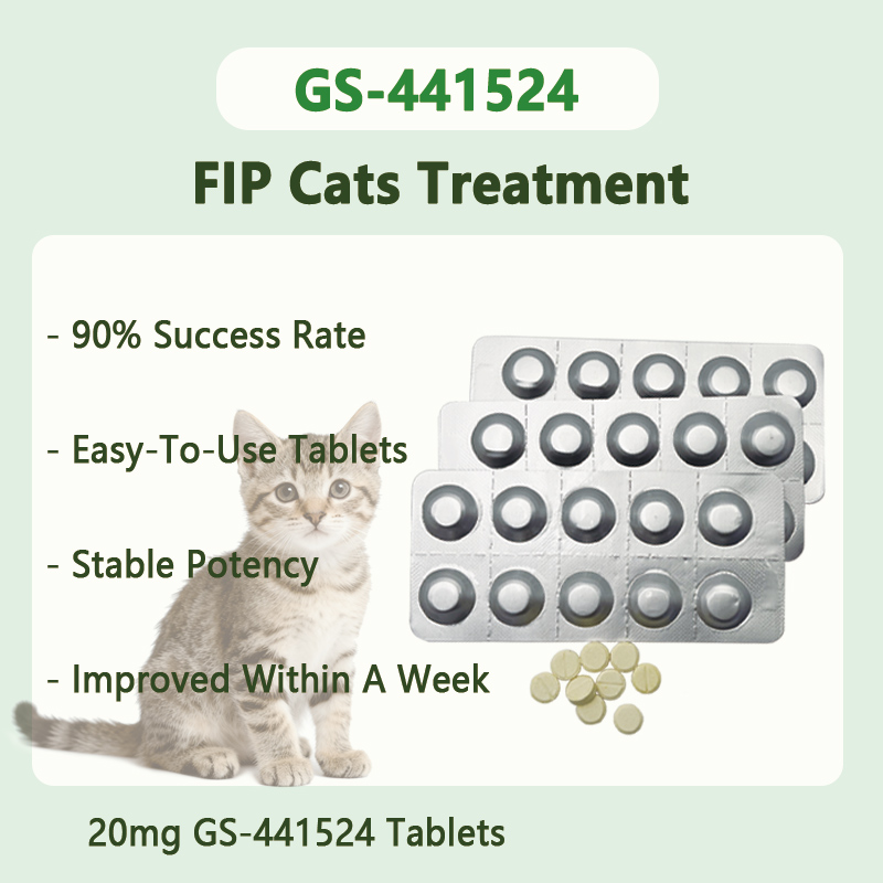 20mg GS-441524 Tablets For FIP cats weighing less than 2.0kg