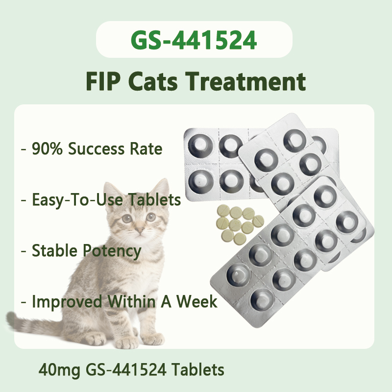 40mg GS-441524 Tablets For FIP cats between 2.0~4.0 kg