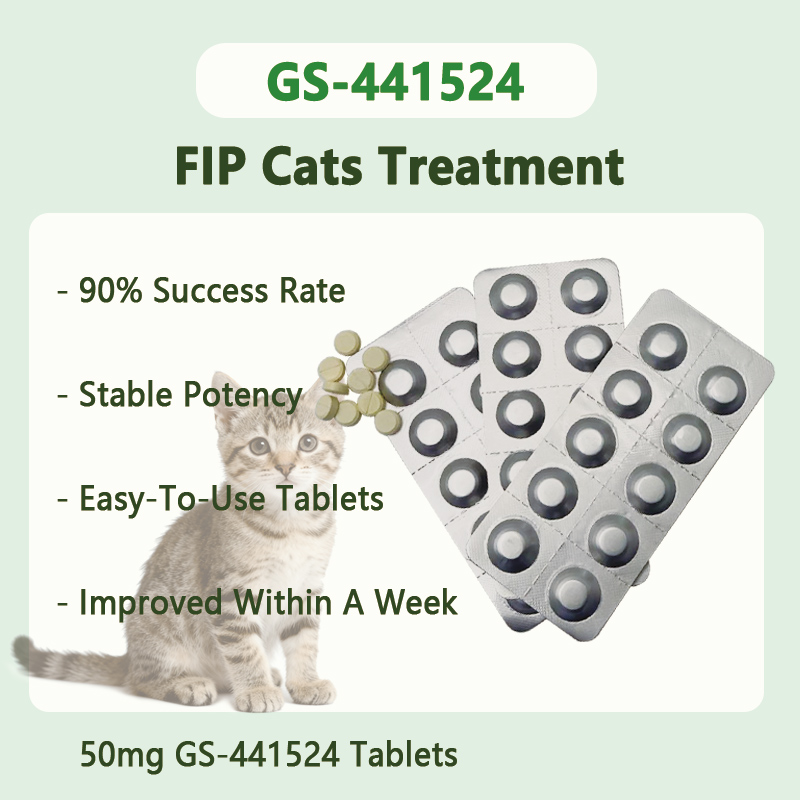 50mg GS-441524 Tablets For FIP cats between 4.0~5.0 kg