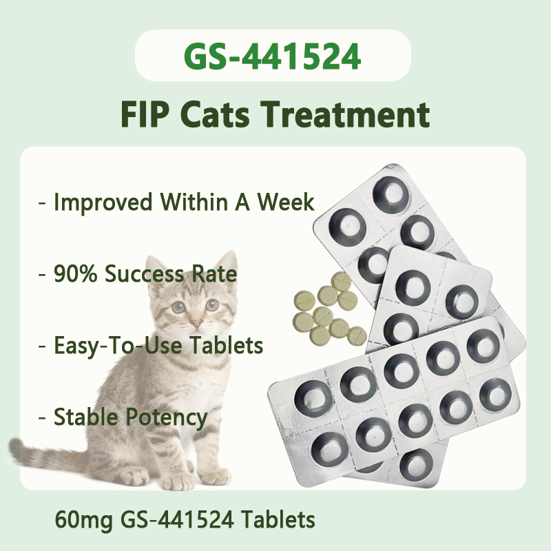 60mg GS-441524 Tablets For FIP cats between 5.0~6.0 kg