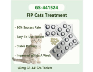 40mg GS-441524 Tablets