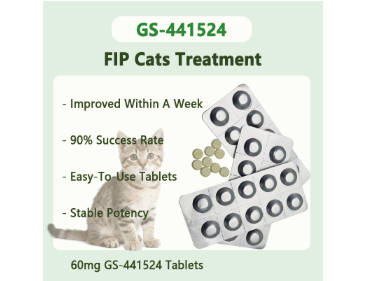 60mg GS-441524 Tablets